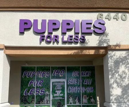 Puppies For Less - Sky Pointe Las Vegas