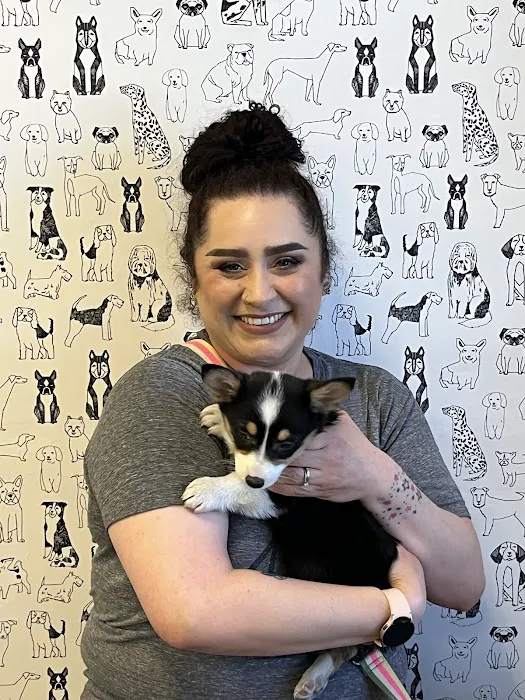 Puppies For Less - Sky Pointe Las Vegas Picture 4