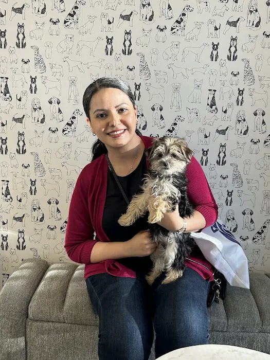 Puppies For Less - Sky Pointe Las Vegas Picture 6