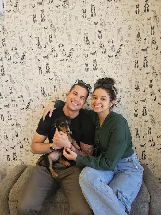 Puppies For Less - Sky Pointe Las Vegas Picture 8