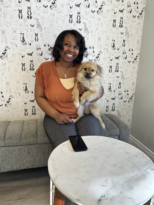 Puppies For Less - Sky Pointe Las Vegas Picture 10