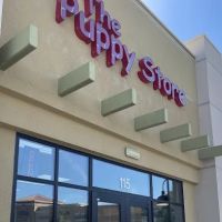 The Puppy Store Las Vegas ico