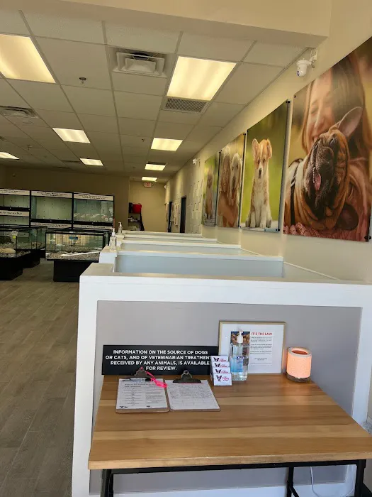 The Puppy Store Las Vegas Picture 2