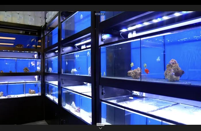 604 Aquatics Picture 3