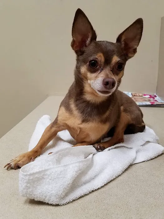 Banfield Pet Hospital Picture 8