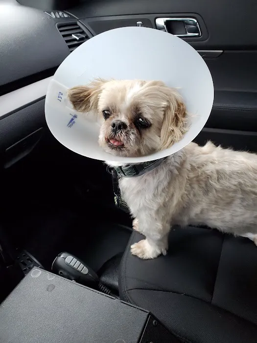Banfield Pet Hospital Picture 9