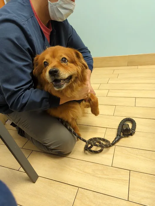 Banfield Pet Hospital Picture 6