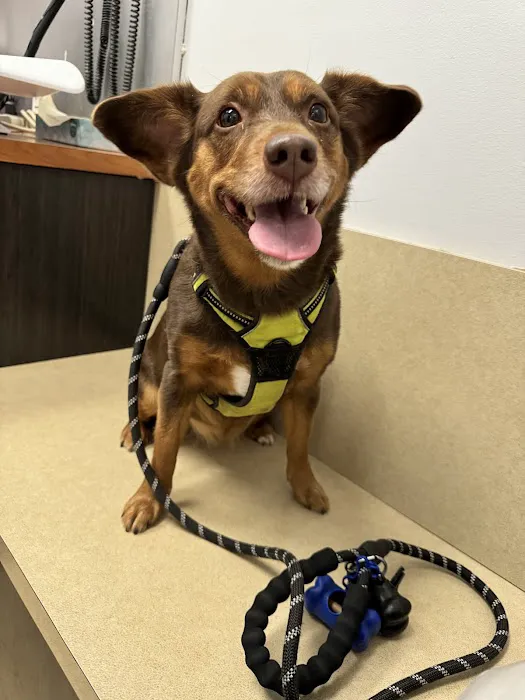 Banfield Pet Hospital Picture 10