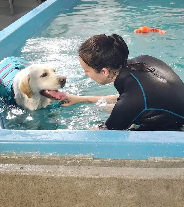 K9 Aquatics Picture 1