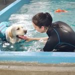 K9 Aquatics