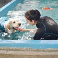 K9 Aquatics ico