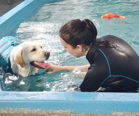 K9 Aquatics