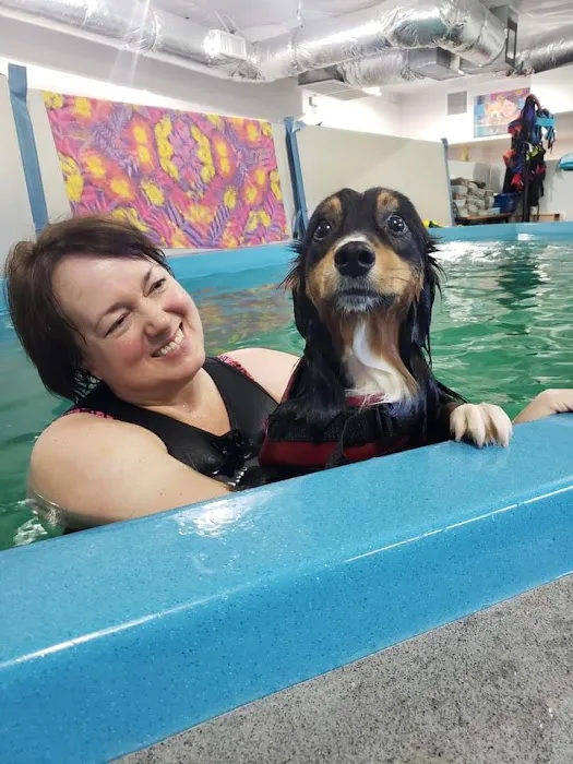 K9 Aquatics Picture 4