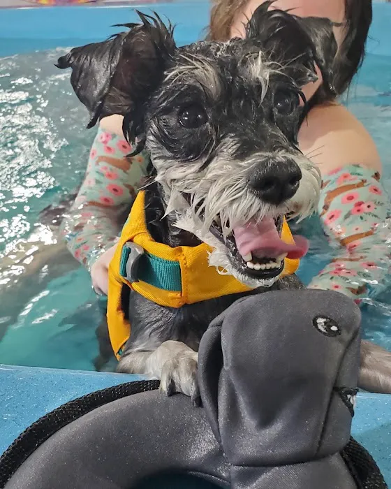 K9 Aquatics Picture 9