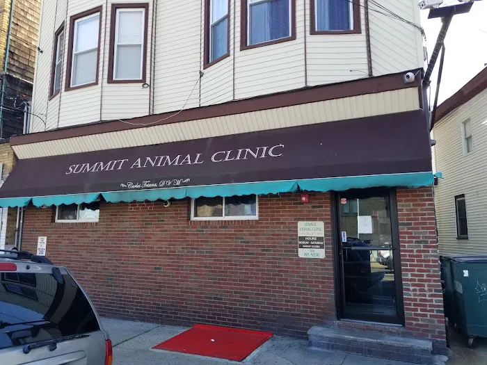 Summit Animal Clinic Picture 2