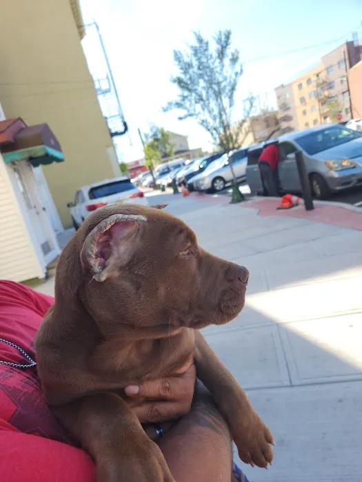 Summit Animal Clinic Picture 1