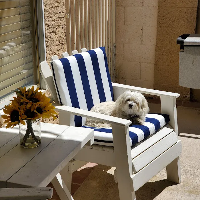 Petco Picture 3