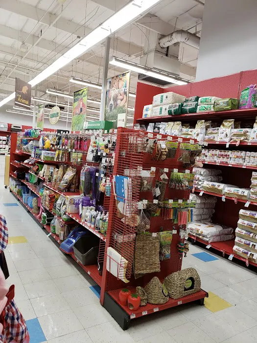 Petco Picture 8