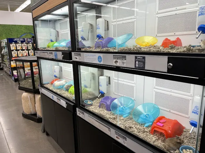 Petco Picture 10