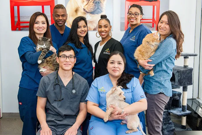Seaport Animal Hospital Picture 2