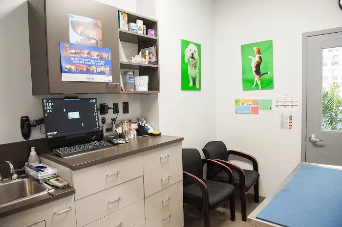 Seaport Animal Hospital Picture 4