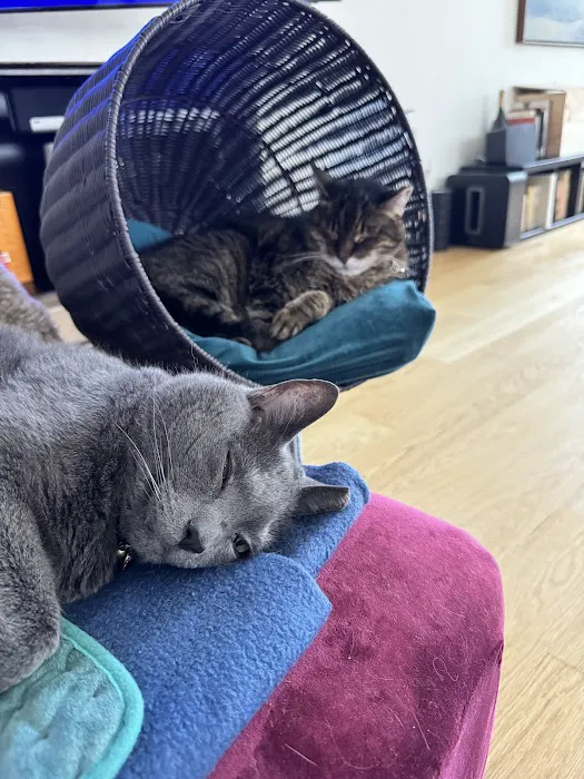Seaport Animal Hospital Picture 8