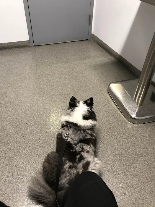 Seaport Animal Hospital Picture 9