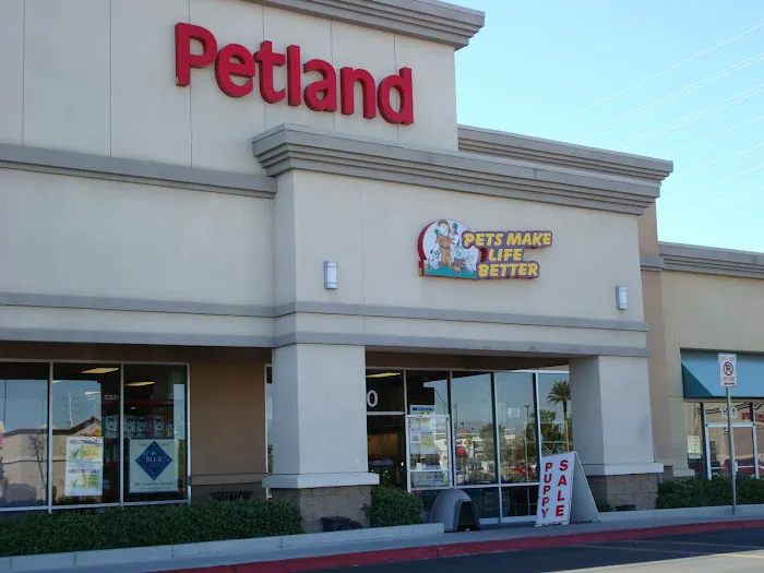Petland Henderson Picture 1