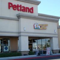 Petland Henderson ico