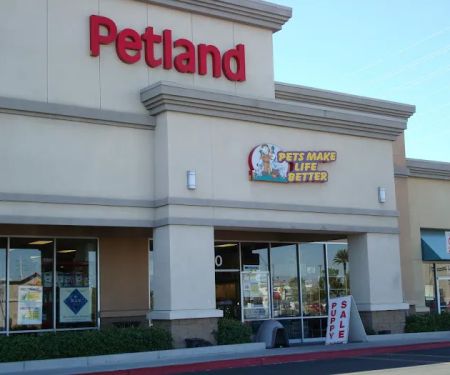 Petland Henderson