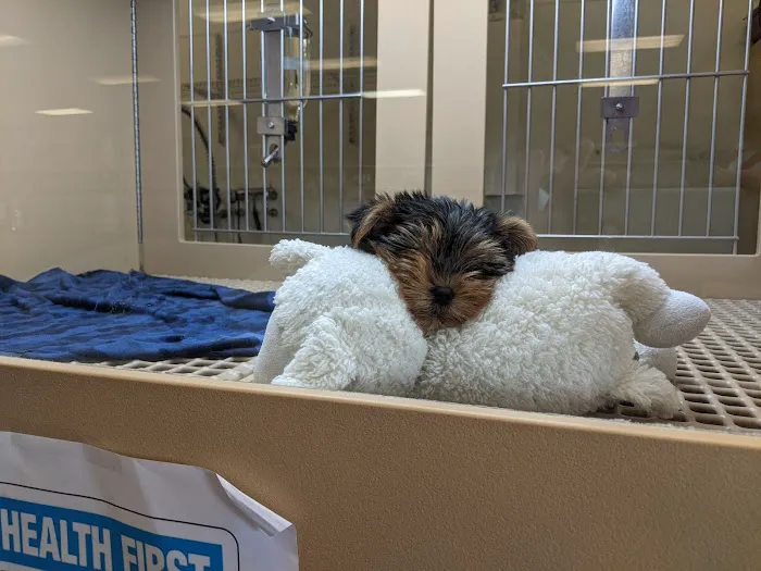 Petland Henderson Picture 7