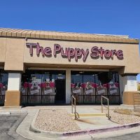 The Puppy Store Henderson ico