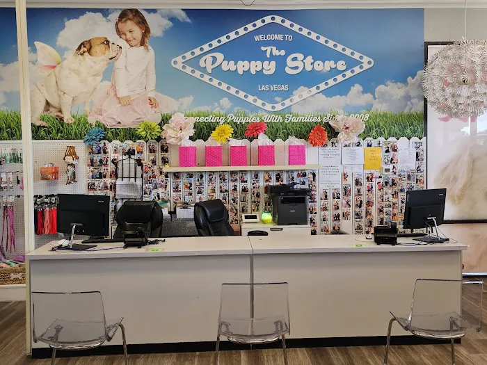 The Puppy Store Henderson Picture 6