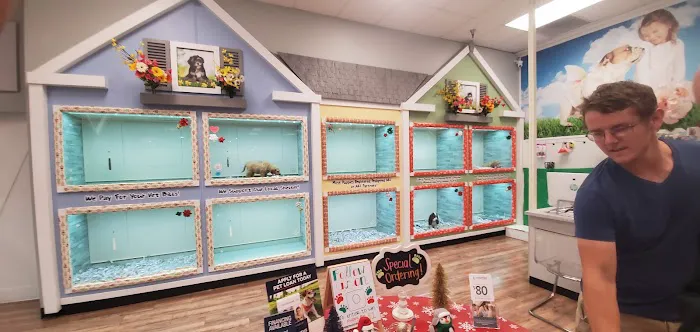 The Puppy Store Henderson Picture 5