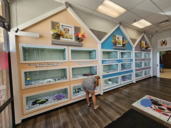 The Puppy Store Henderson Picture 8