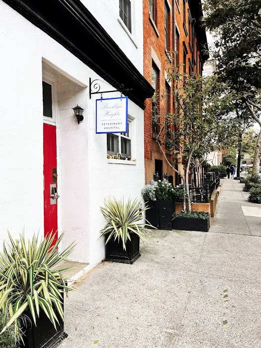 Brooklyn Heights Veterinary Hospital Picture 2