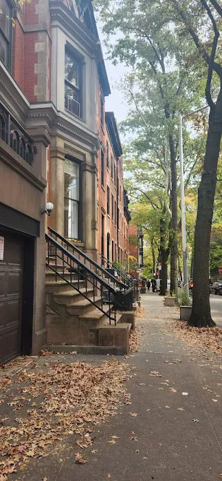 Brooklyn Heights Veterinary Hospital Picture 6