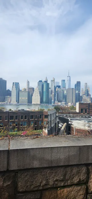 Brooklyn Heights Veterinary Hospital Picture 7