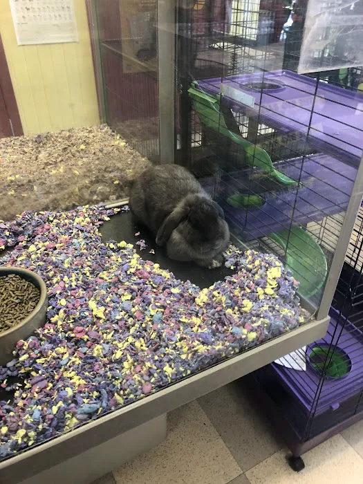 Petland Las Vegas Picture 8