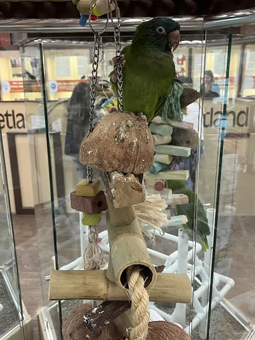 Petland Las Vegas Picture 6