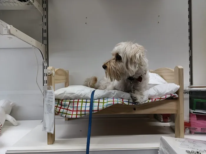 Petco Picture 2