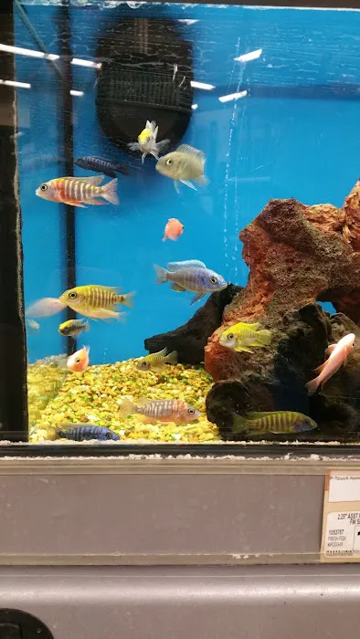 Petco Picture 4