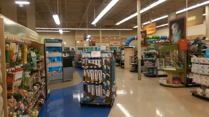 Petco Picture 5