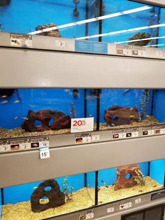 Petco Picture 7