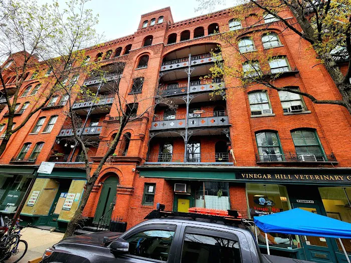 Vinegar Hill Veterinary Group- Brooklyn Heights Picture 3