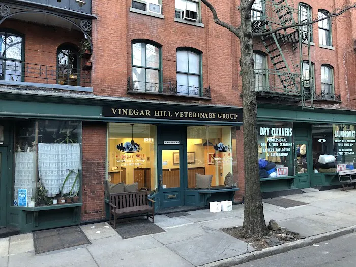 Vinegar Hill Veterinary Group- Brooklyn Heights Picture 2