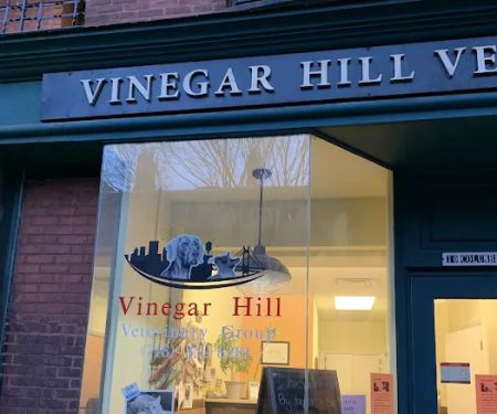 Vinegar Hill Veterinary Group- Brooklyn Heights