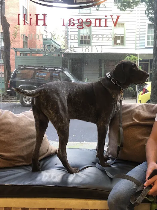 Vinegar Hill Veterinary Group- Brooklyn Heights Picture 6