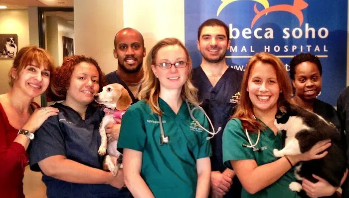 Tribeca Soho Animal Hospital Picture 1
