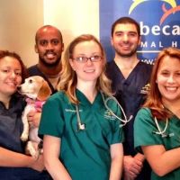 Tribeca Soho Animal Hospital ico